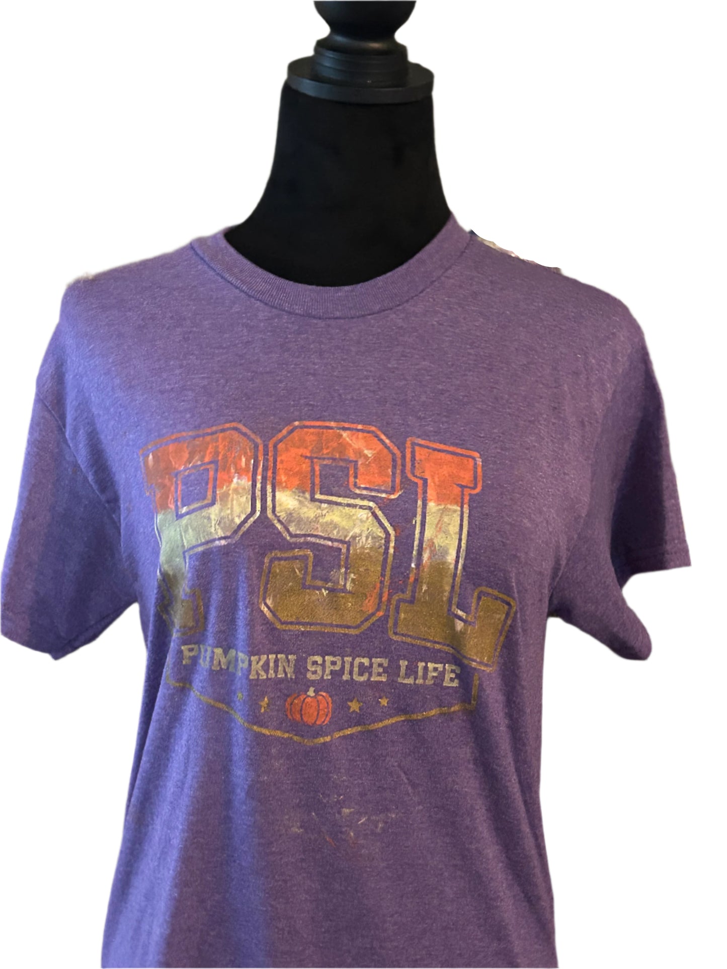 Pumpkin Spice Life T-Shirt